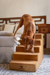Noah & Paw leather dog stairs front view highlighting wide design