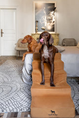 Noah & Paw leather dog stairs 5-step close-up durability