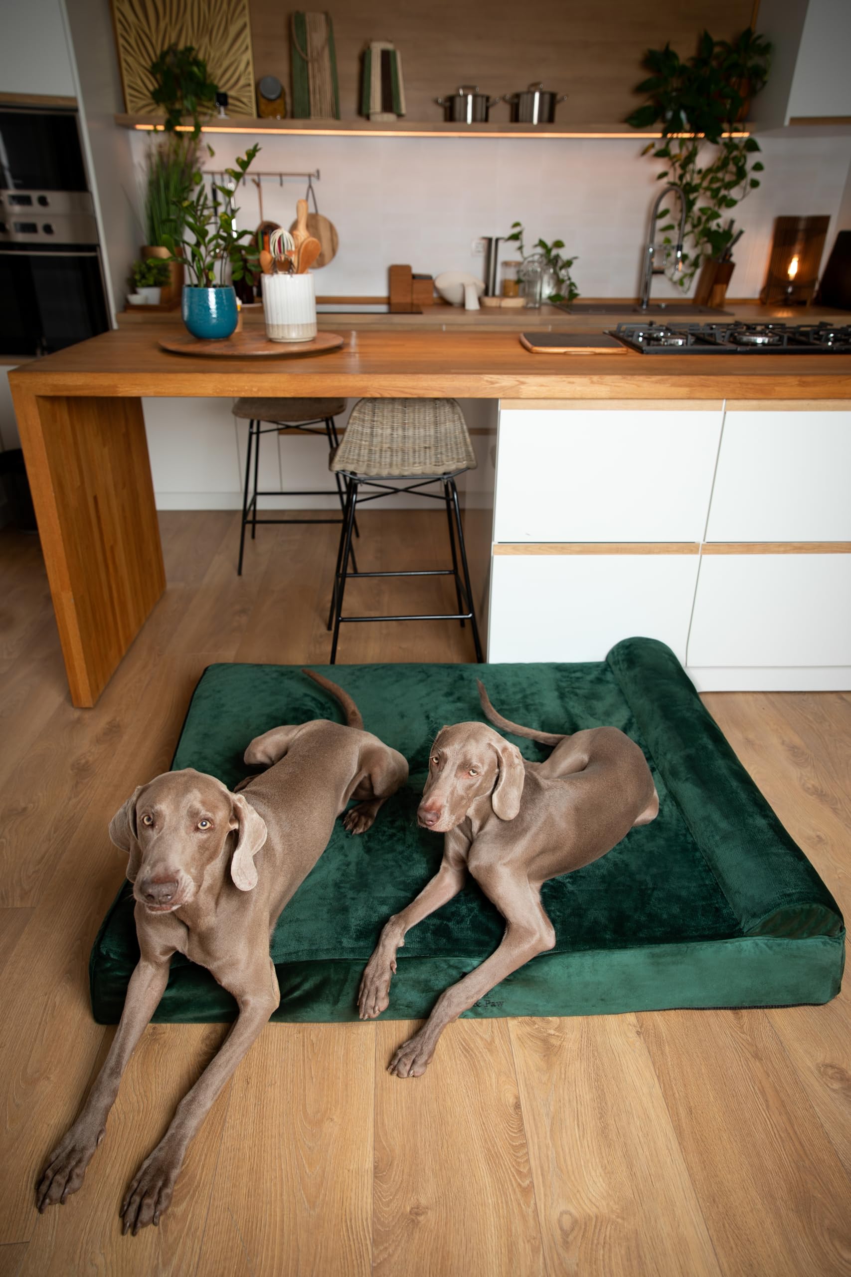 NOAH & PAW machine-washable covers make cleaning hassle-free after outdoor adventures.
