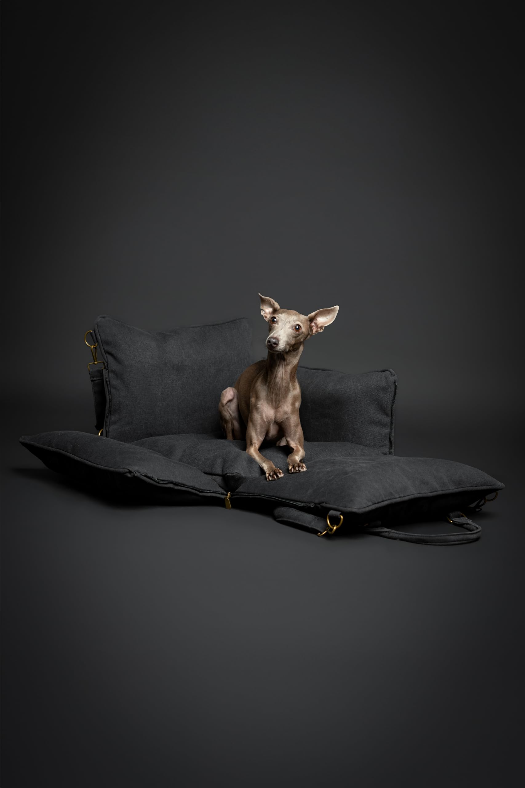 NOAH & PAW memory foam insulation adds plush support for pets.