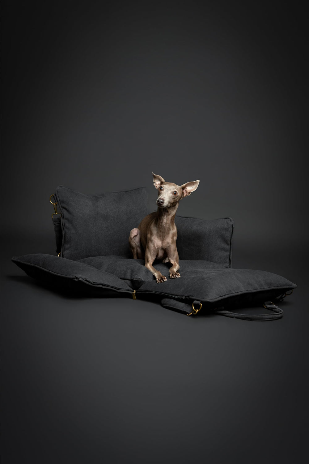 NOAH & PAW memory foam insulation adds plush support for pets.