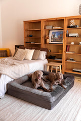 NOAH & PAW memory-foam-with-cooling-gel close-up shows cooling comfort.