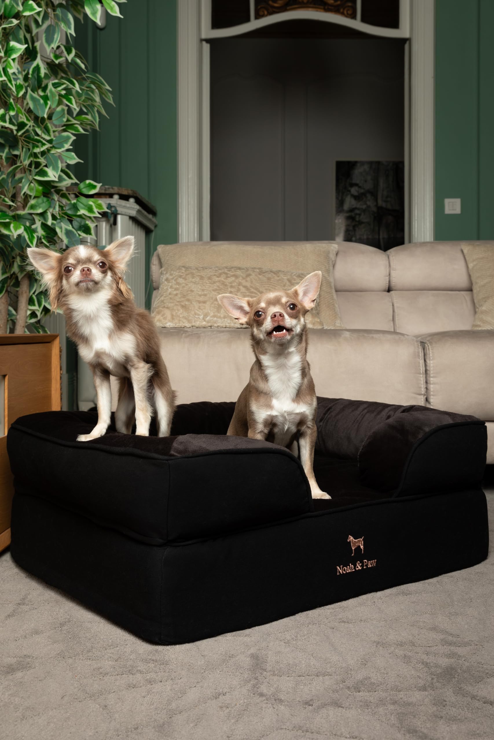 NOAH & PAW orthopedic bolster detail reveals elevated head and neck support