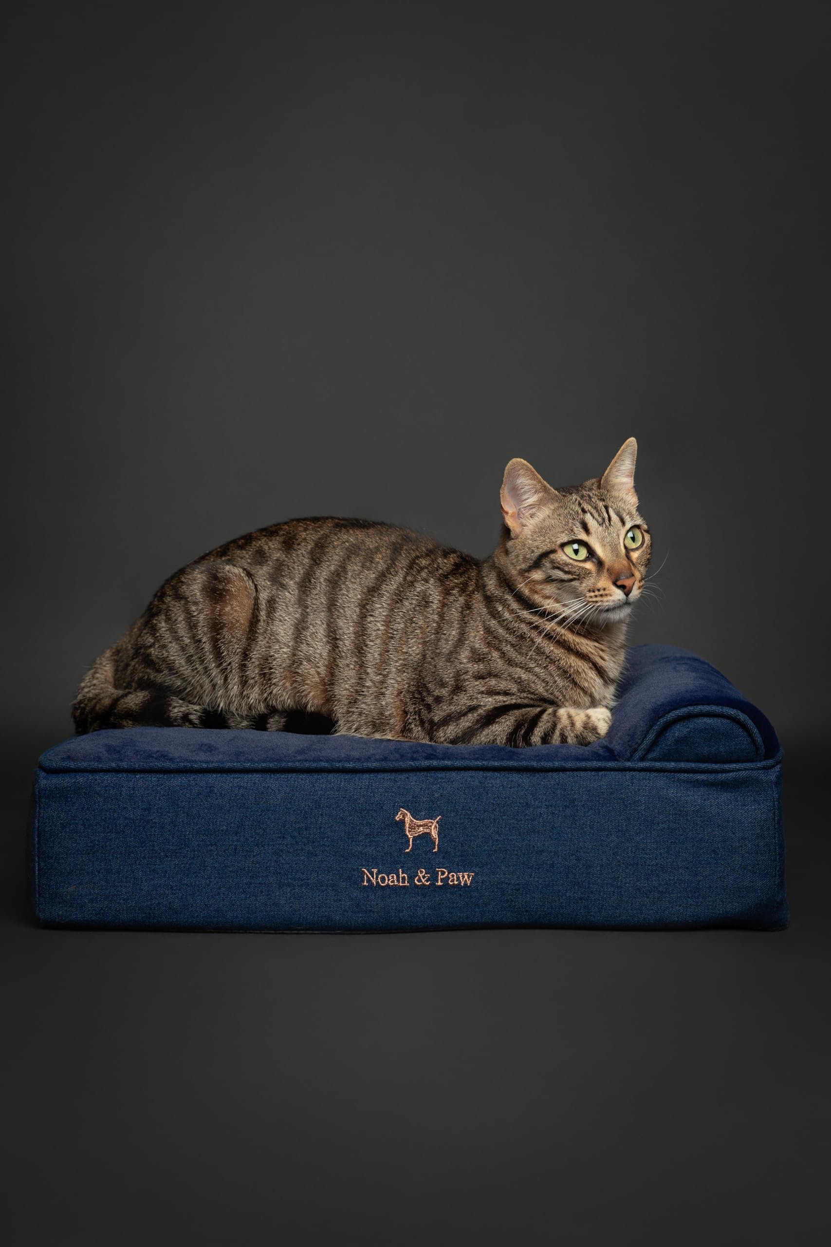 NOAH & PAW orthopedic memory foam with cooling gel supports joints.