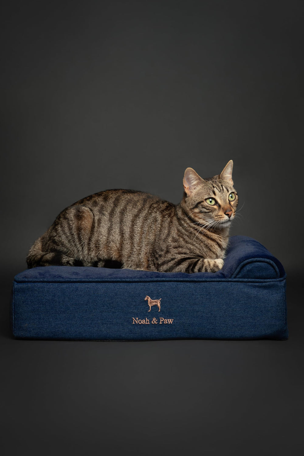 NOAH & PAW orthopedic memory foam with cooling gel supports joints.