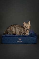 NOAH & PAW orthopedic memory foam with cooling gel supports joints.