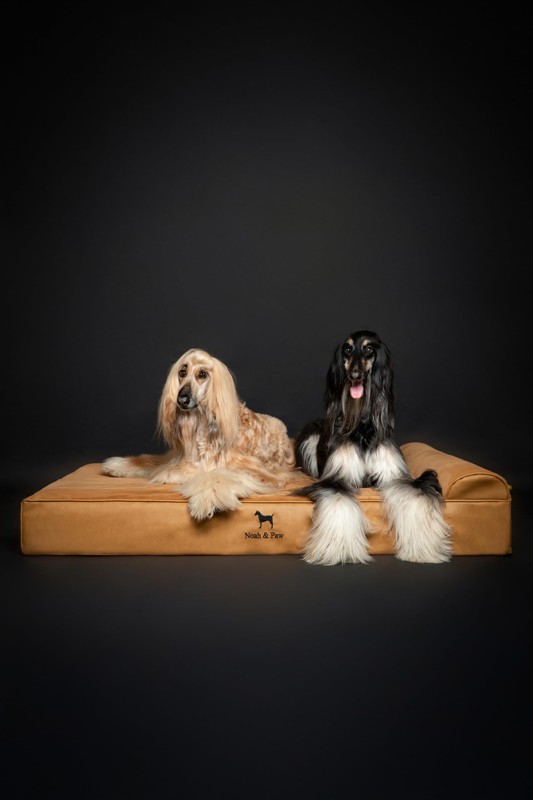 NOAH & PAW orthopedic support landing area demonstrates posture-friendly design