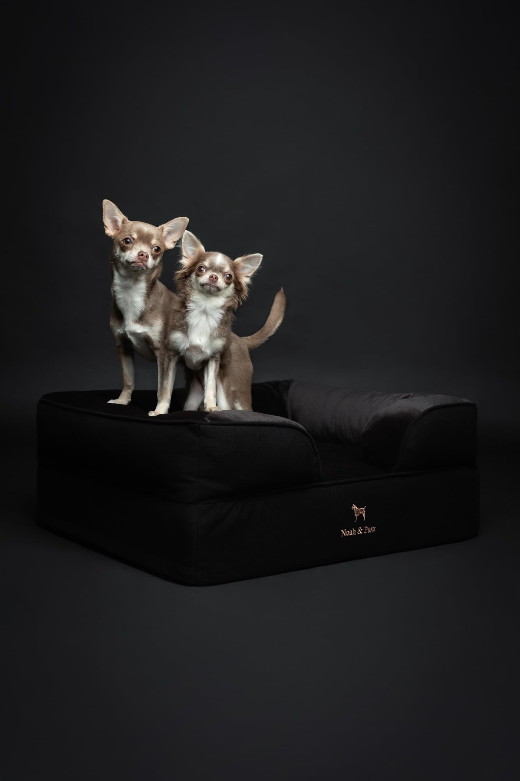 NOAH & PAW outer waterproof cover highlights spill protection and cleanliness