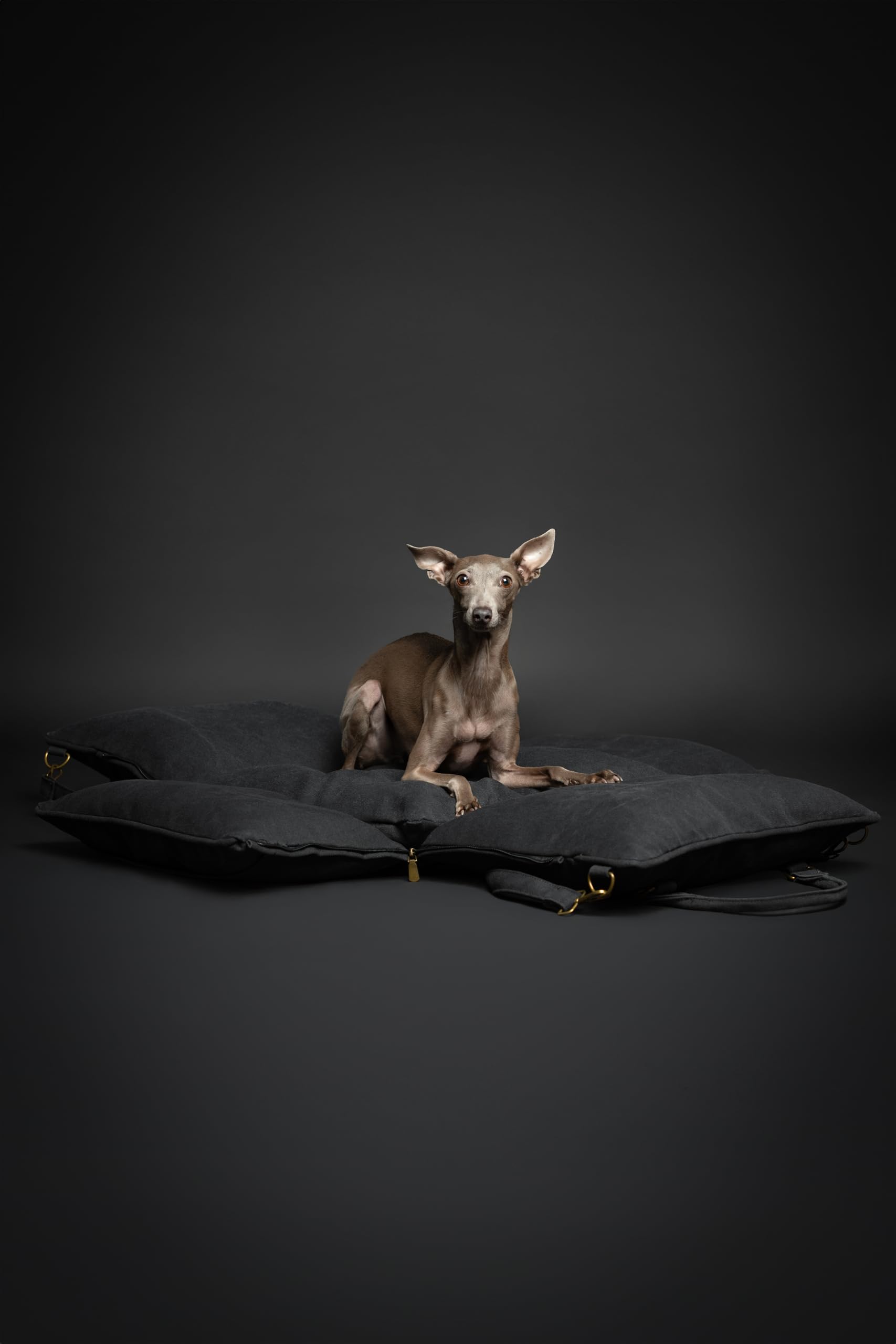 NOAH & PAW removable cover makes cleanup quick and simple.