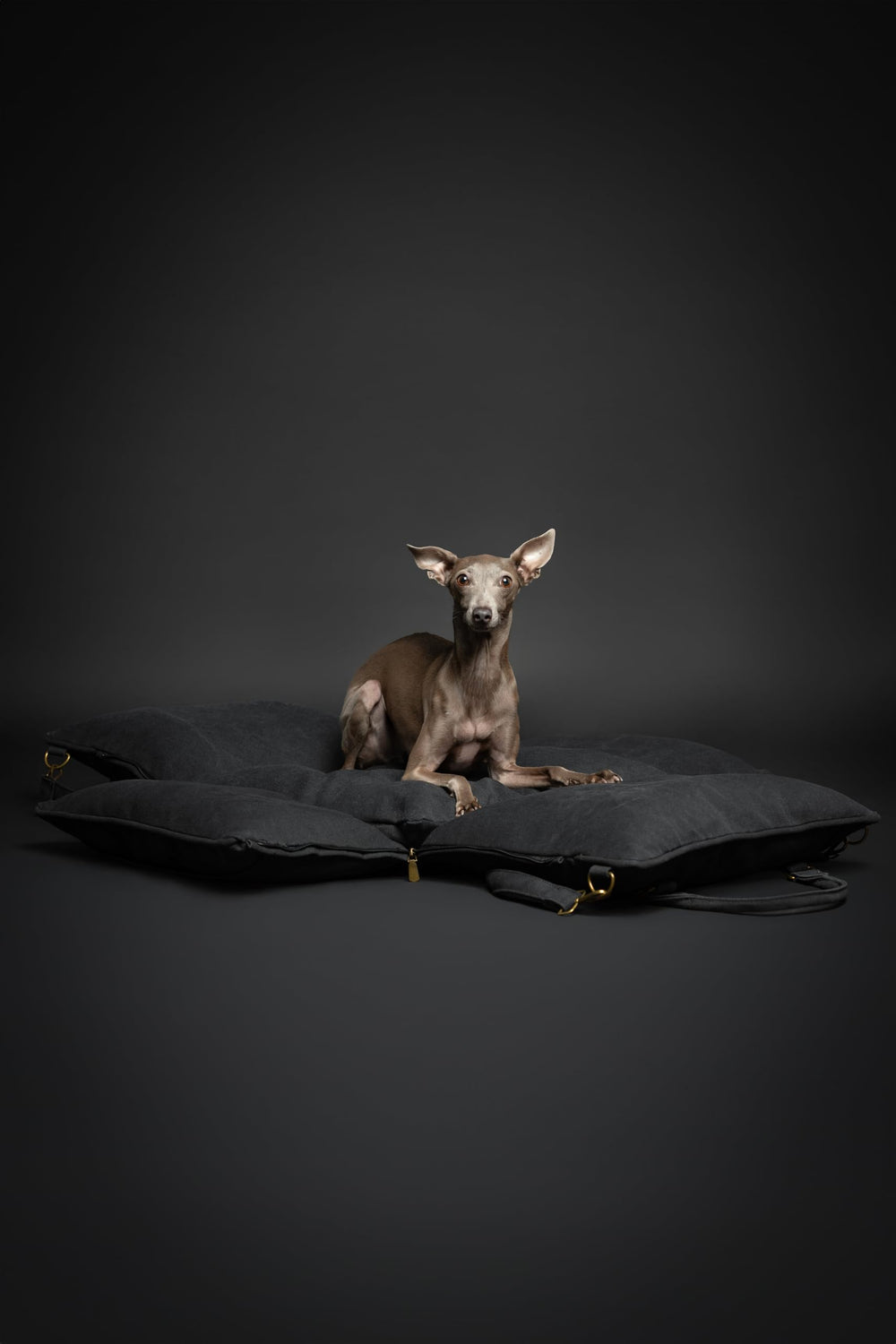NOAH & PAW removable cover makes cleanup quick and simple.