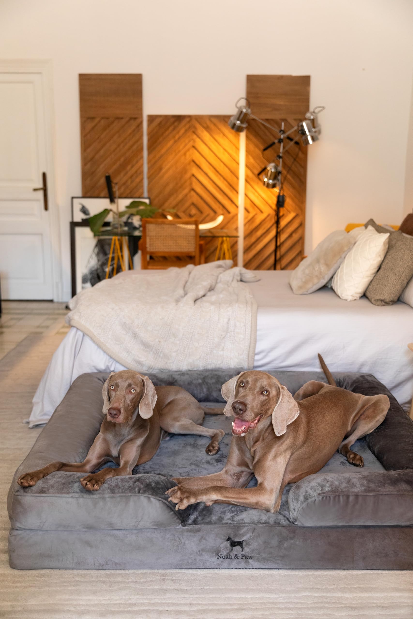 NOAH & PAW removable-washable-covers enable simple care and long-lasting fabric.