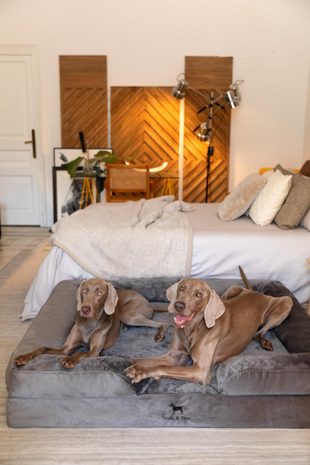 NOAH & PAW removable-washable-covers enable simple care and long-lasting fabric.