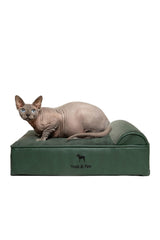 NOAH & PAW small bed with foam-core base supports joints and comfort for pets.
