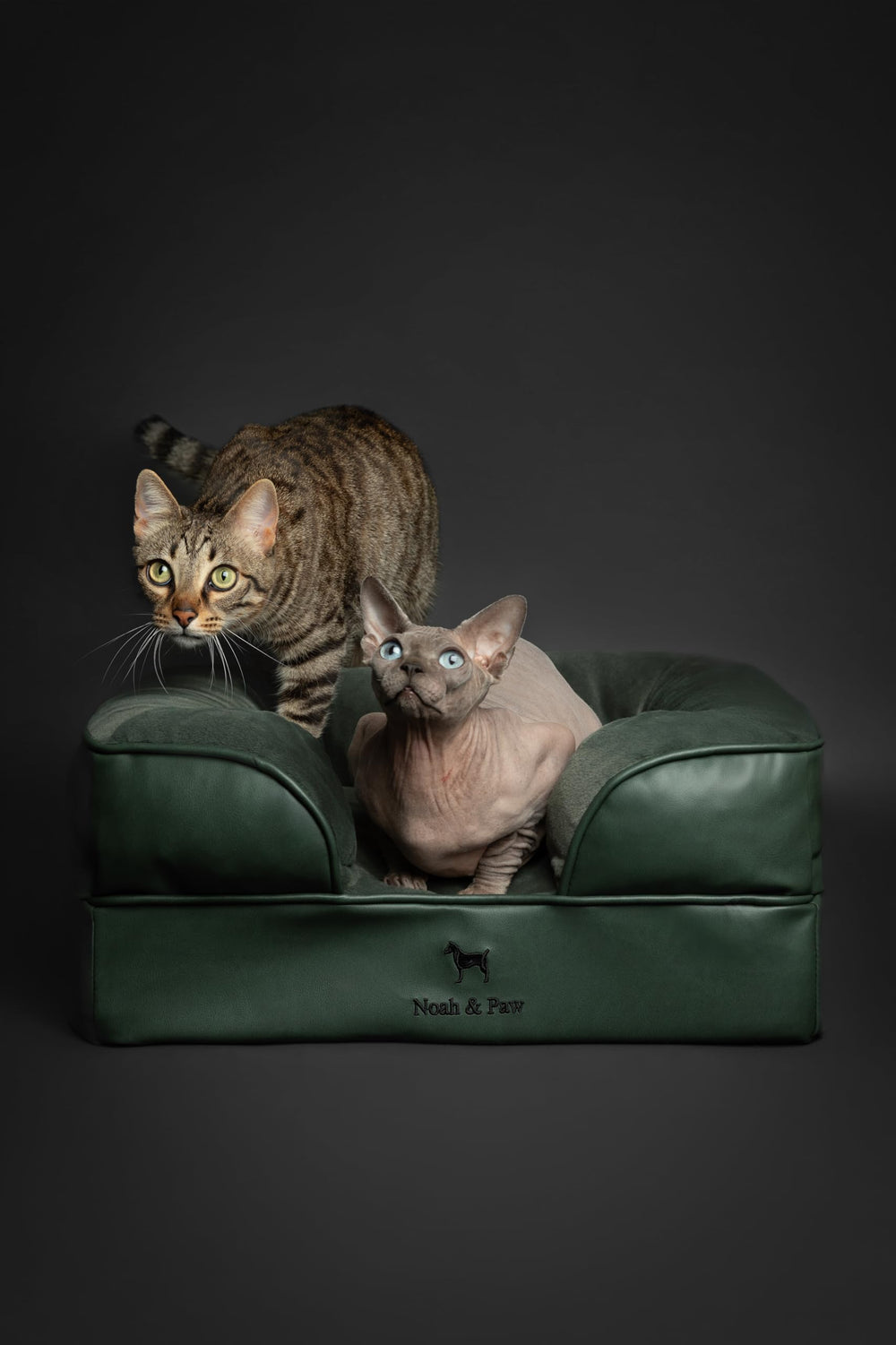 NOAH & PAW cooling gel-infused layer demonstrates temperature moderation for cozy naps