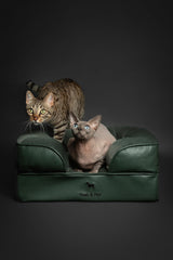 NOAH & PAW cooling gel-infused layer demonstrates temperature moderation for cozy naps