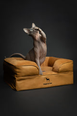 NOAH & PAW small dog bed cooling-gel layer helps regulate temperature for comfort.