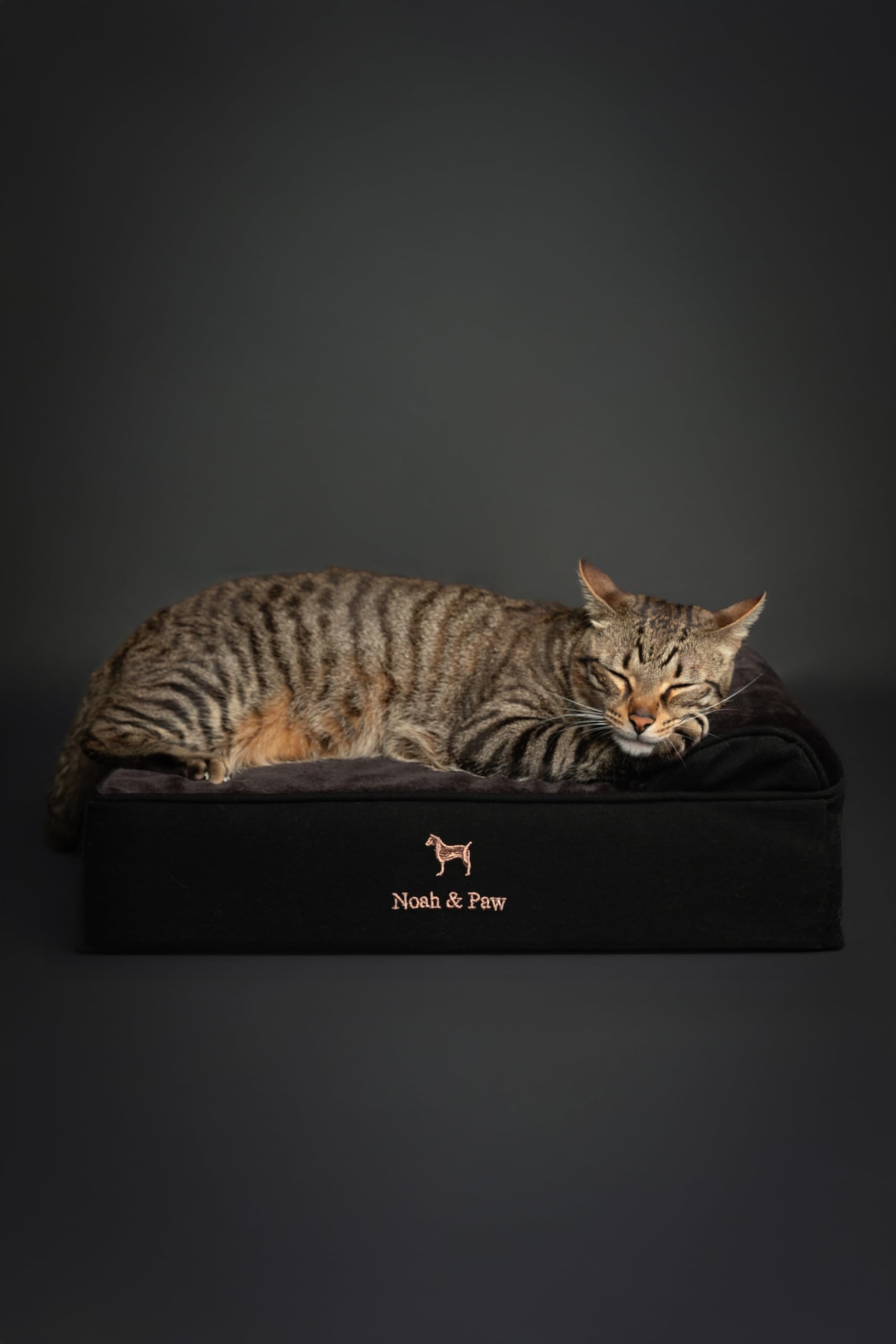 NOAH & PAW Small Dog Bed denim collection side view supports joints.
