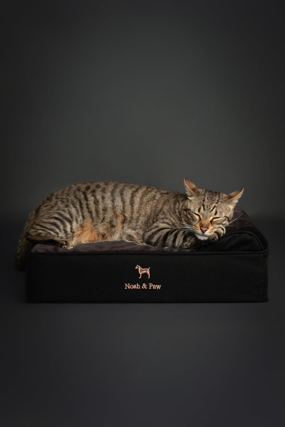 NOAH & PAW Small Dog Bed denim collection side view supports joints.