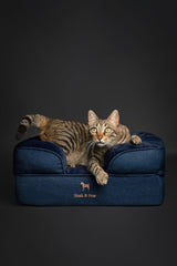 NOAH & PAW small dog bed foam detail reveals memory foam support