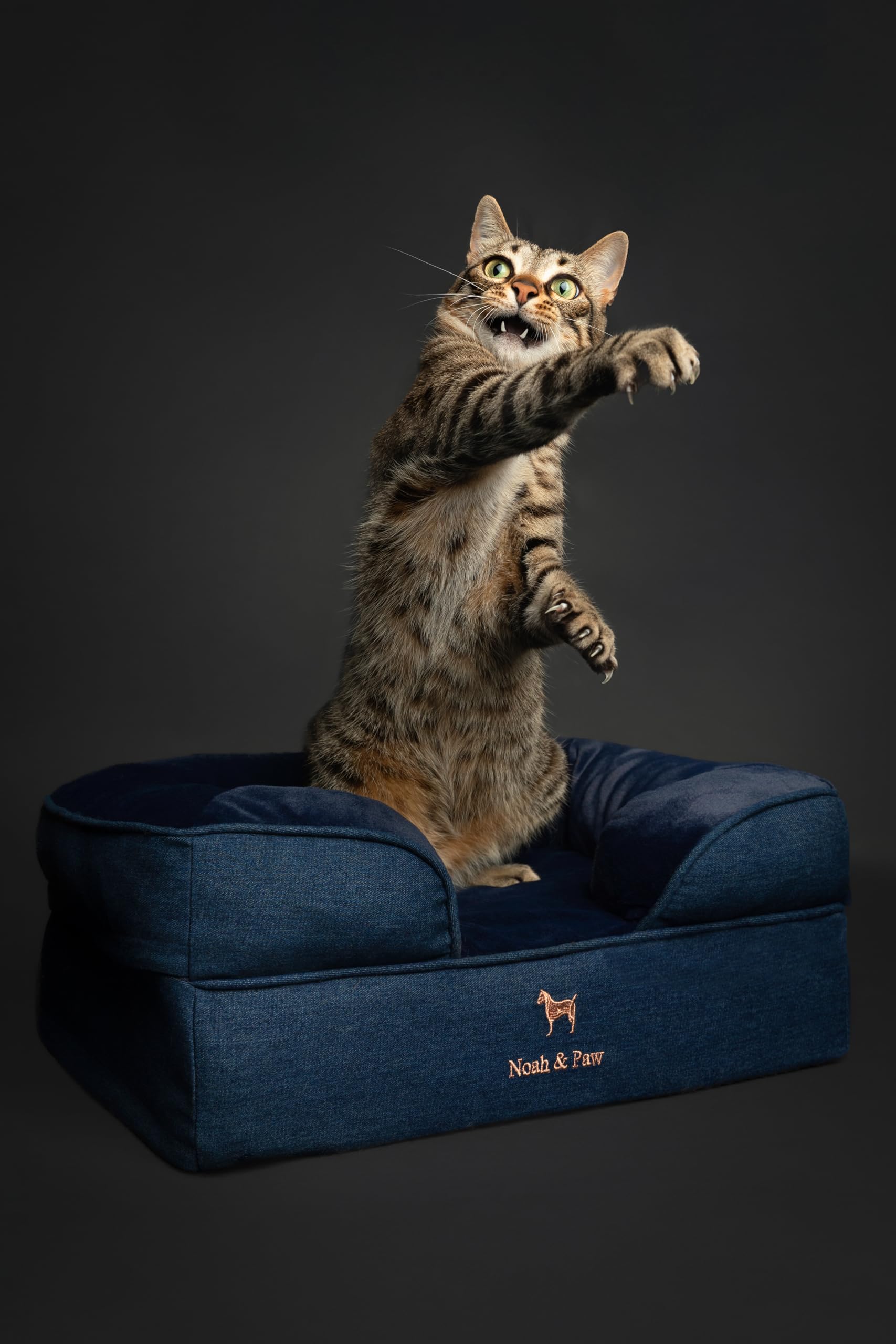 NOAH & PAW small dog bed denim inner cover shown for easy washing