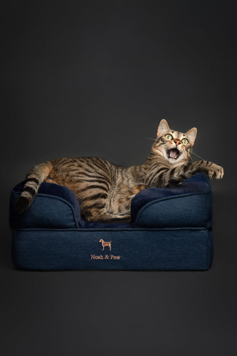 NOAH & PAW small dog bed denim outer cover highlights waterproof design