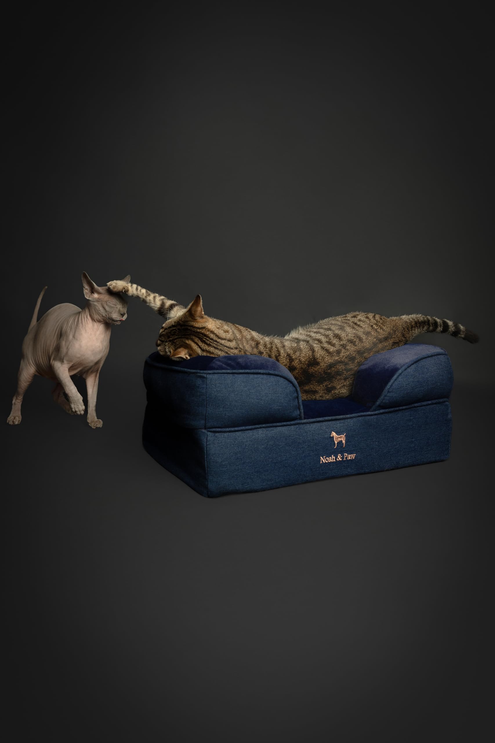 NOAH & PAW small dog bed denim side view shows supportive bolster