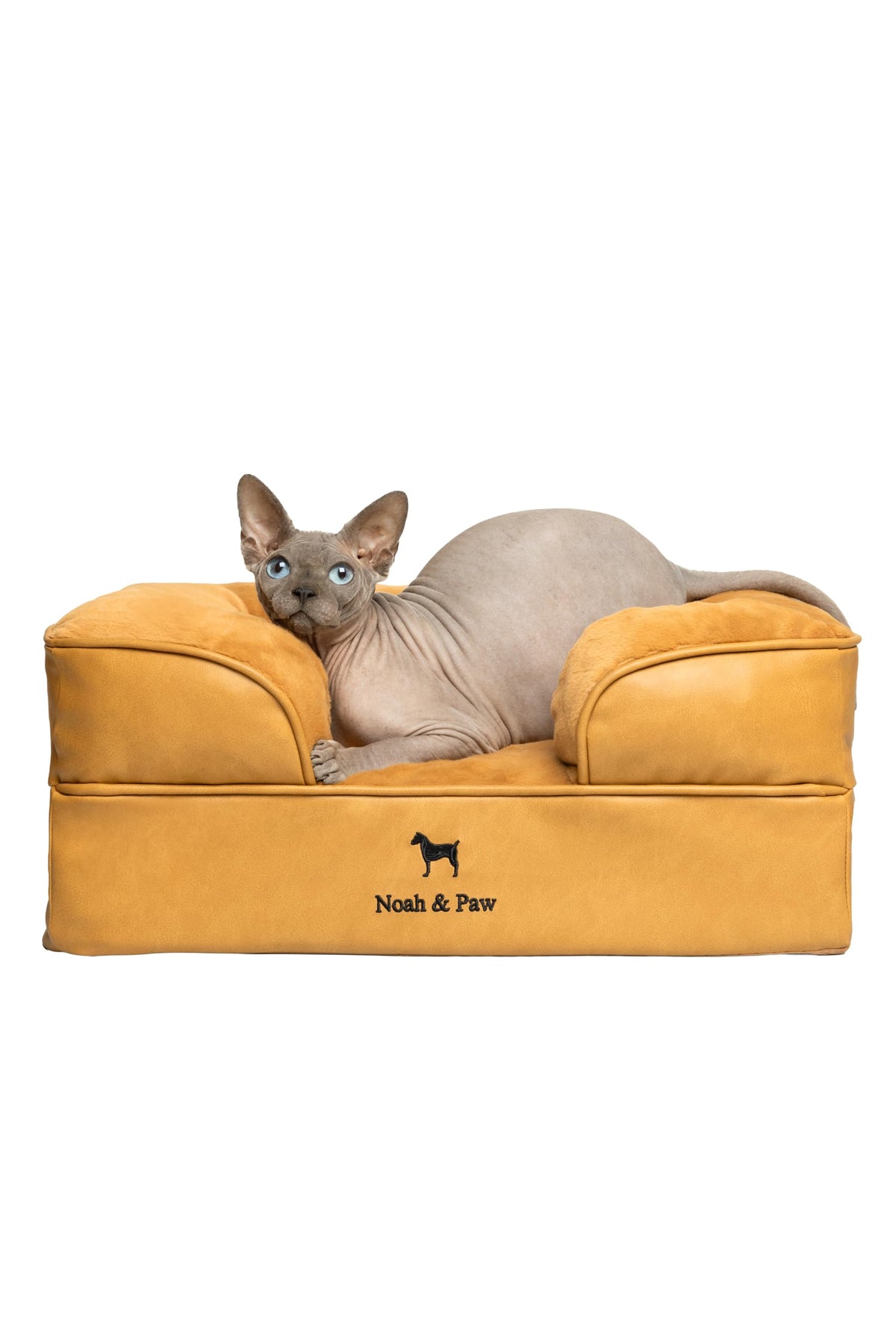 NOAH & PAW small dog bed foam-core provides supportive rest for joints.