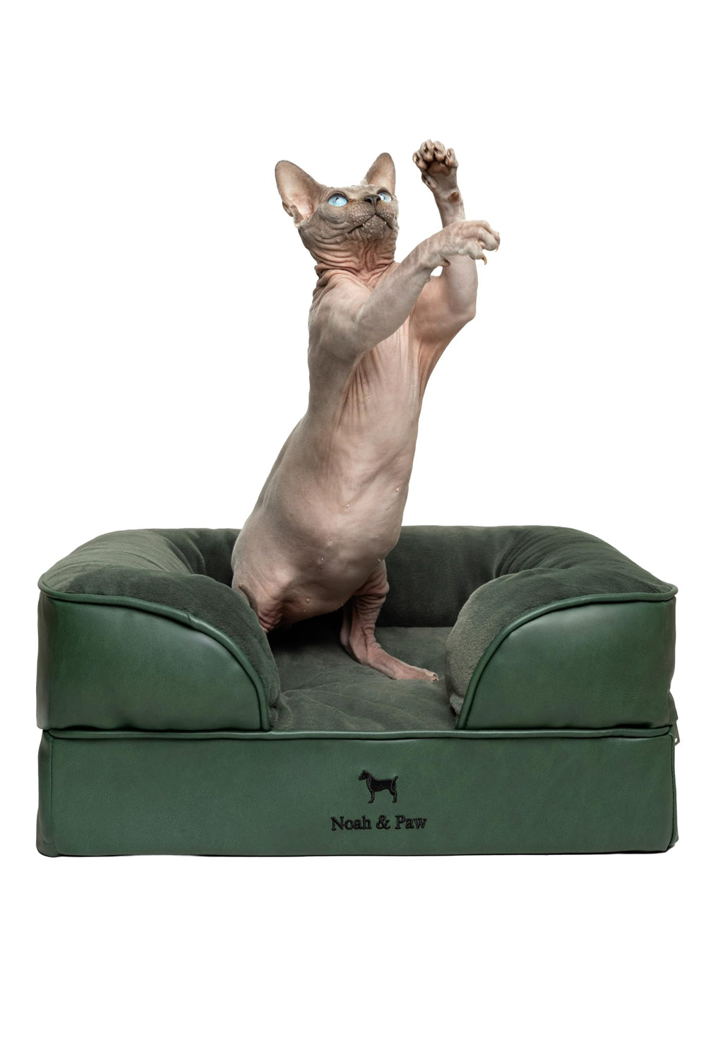 NOAH & PAW small dog bed foam layer close-up highlighting supportive 5-inch base for joints