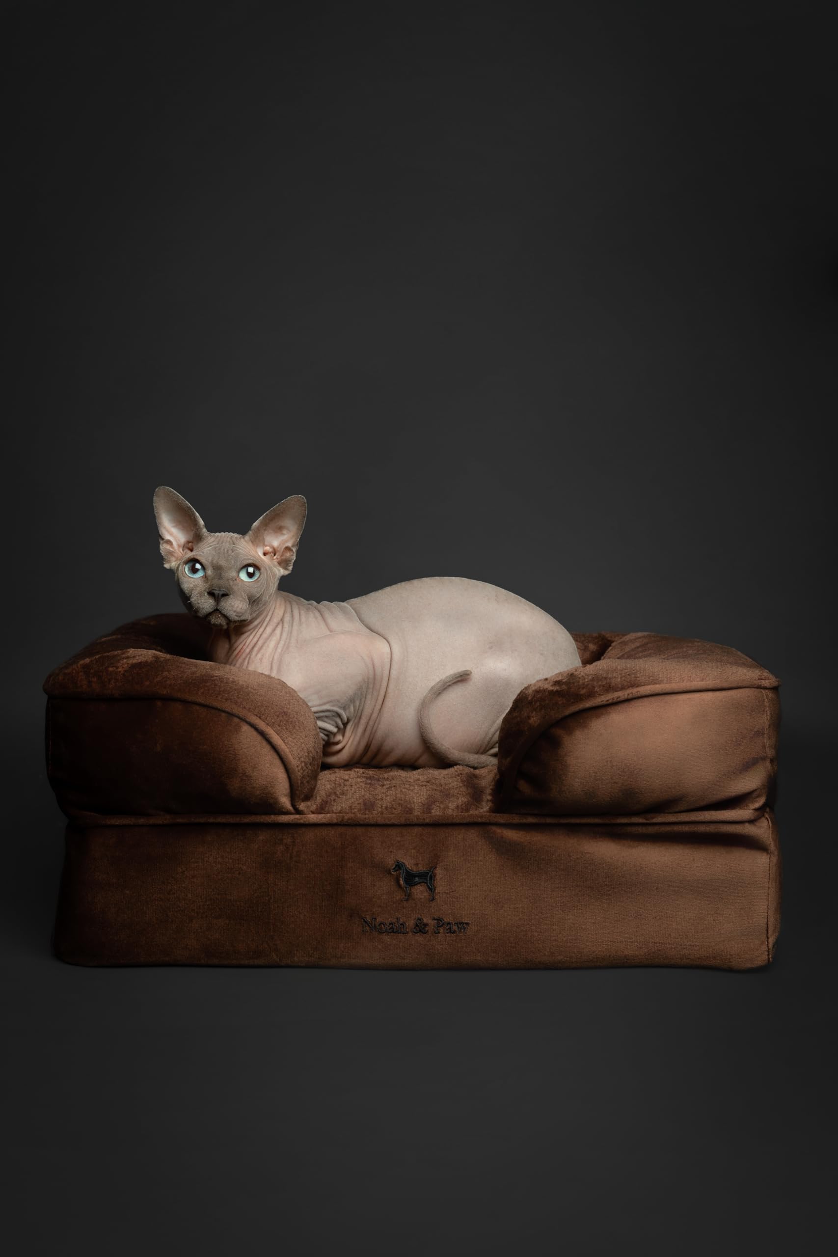 NOAH & PAW small dog bed in use demonstrates compact size for apartments and cats.