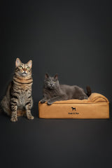 NOAH & PAW small dog bed inner cover protects layers and is easy to wash
