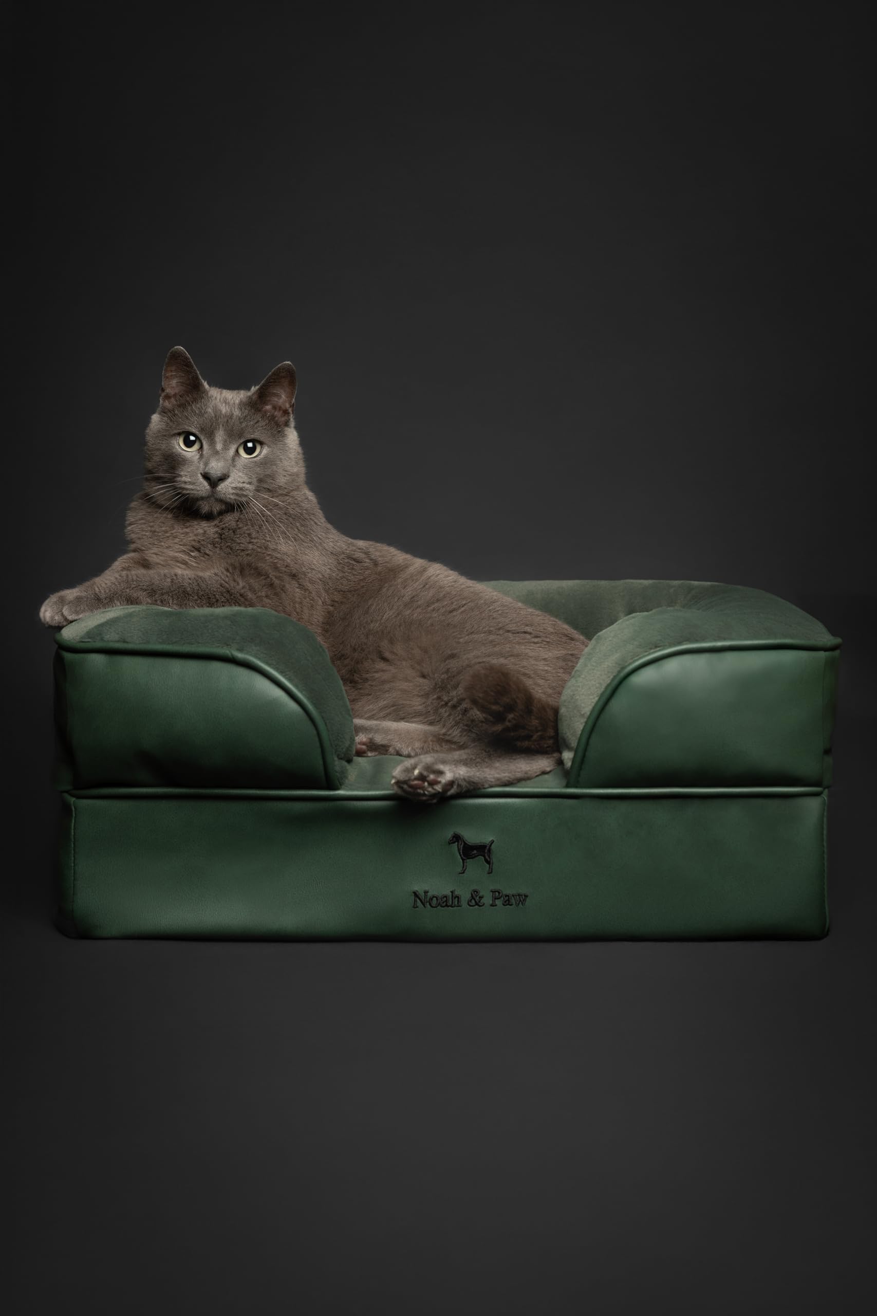 NOAH & PAW memory foam close-up confirms plush feel and durable support