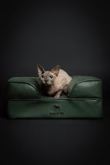 NOAH & PAW memory foam close-up illustrates contouring comfort for aging pets