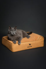 NOAH & PAW memory foam layer provides soft, body-conforming support for naps