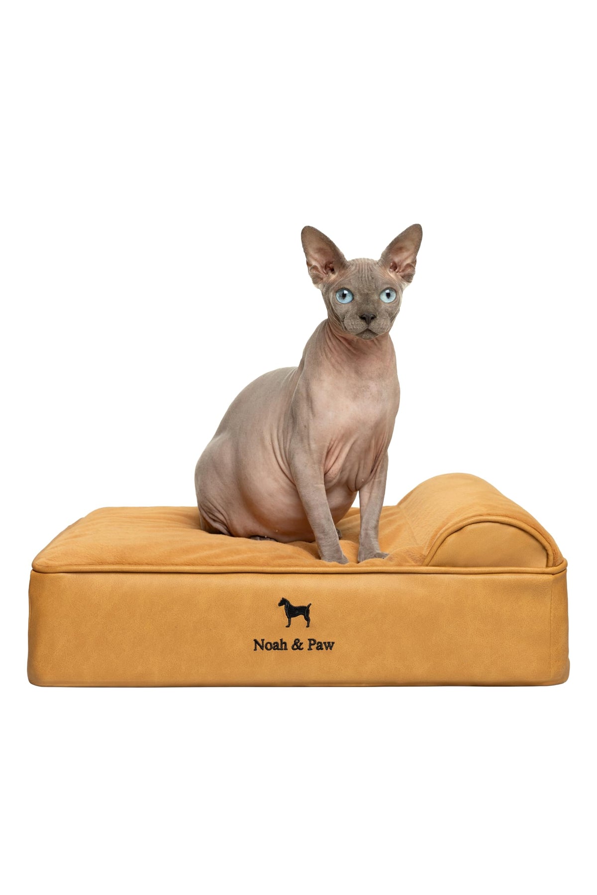 NOAH & PAW small dog bed outer cover shows durable fabric and clean design for daily use