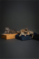 NOAH & PAW Small Dog Bed outer waterproof cover protects against spills and accidents.