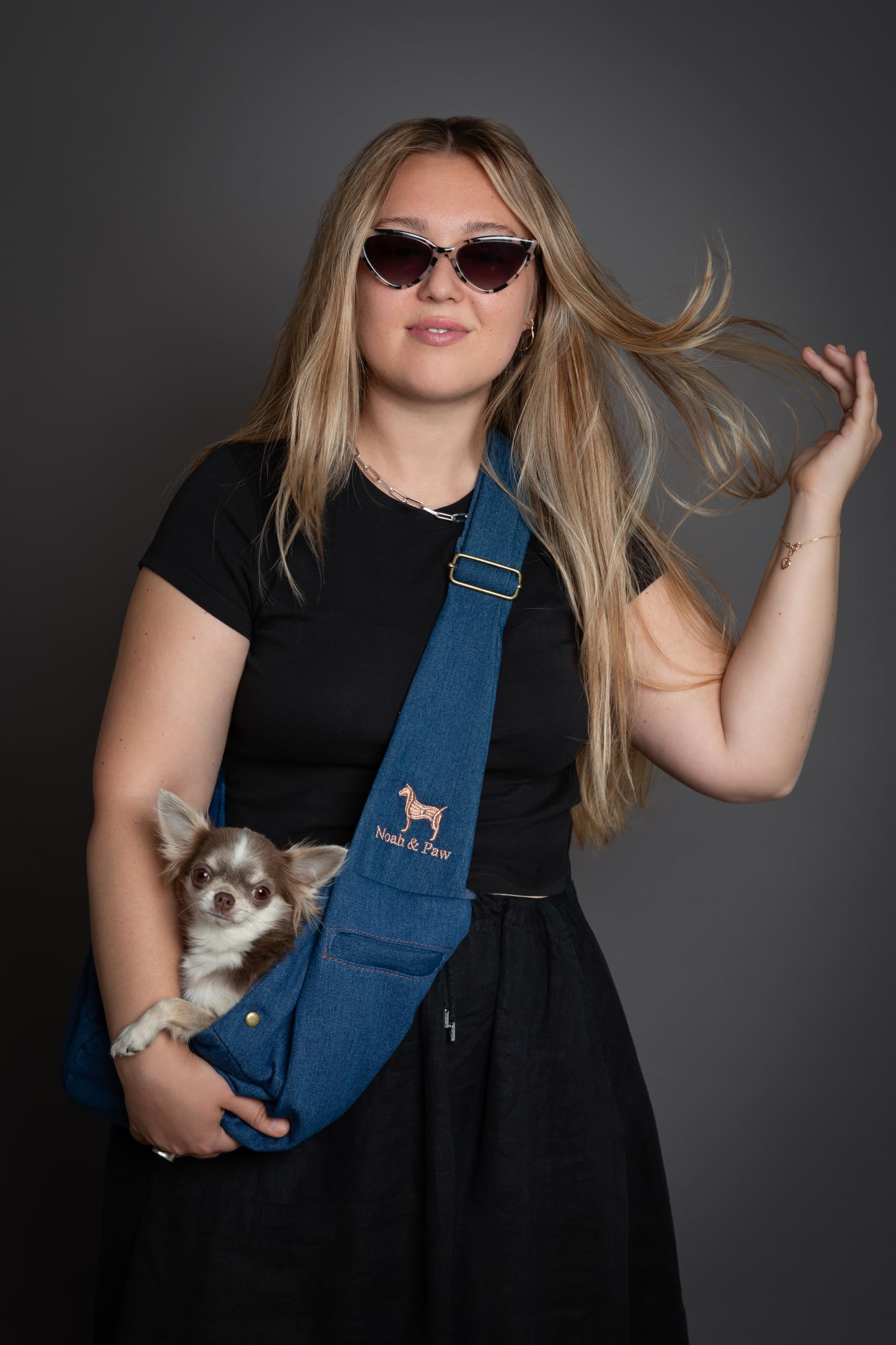 NOAH & PAW small-dog sling fits 3-10 lb pets securely