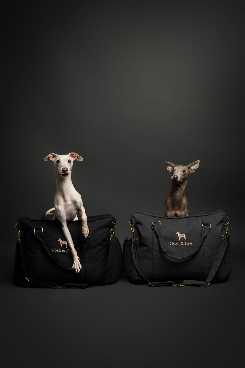 NOAH & PAW compact design with sturdy handles for easy transport.