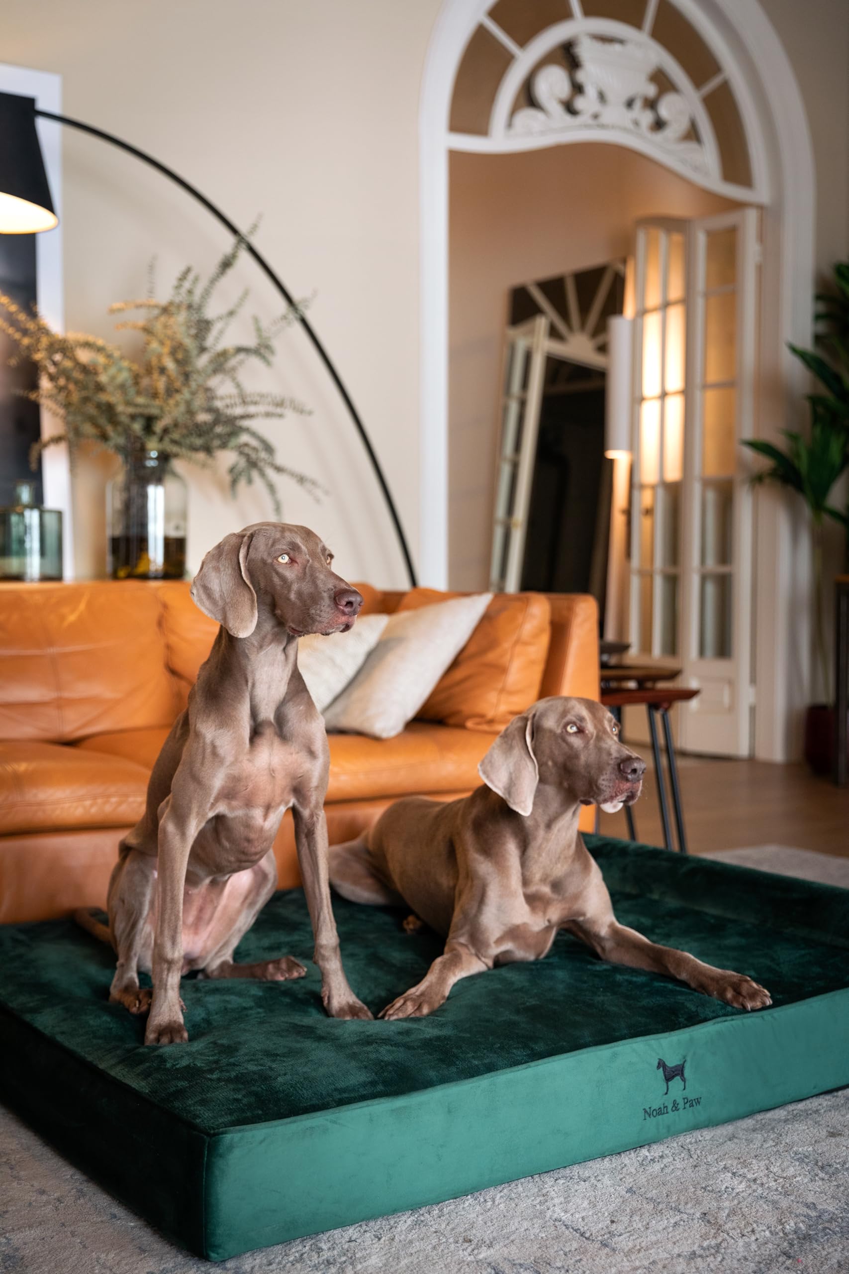 NOAH & PAW velvet-collection fabric adds plush, premium feel to a cozy resting place.