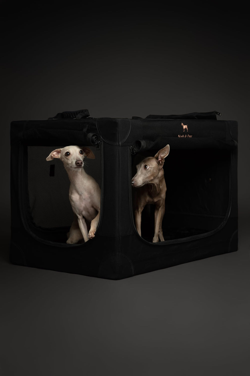 Noah & Paw removable washable cover for easy cleaning