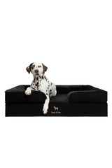 NOAH & PAW XL dog bed front view in denim supports large breeds