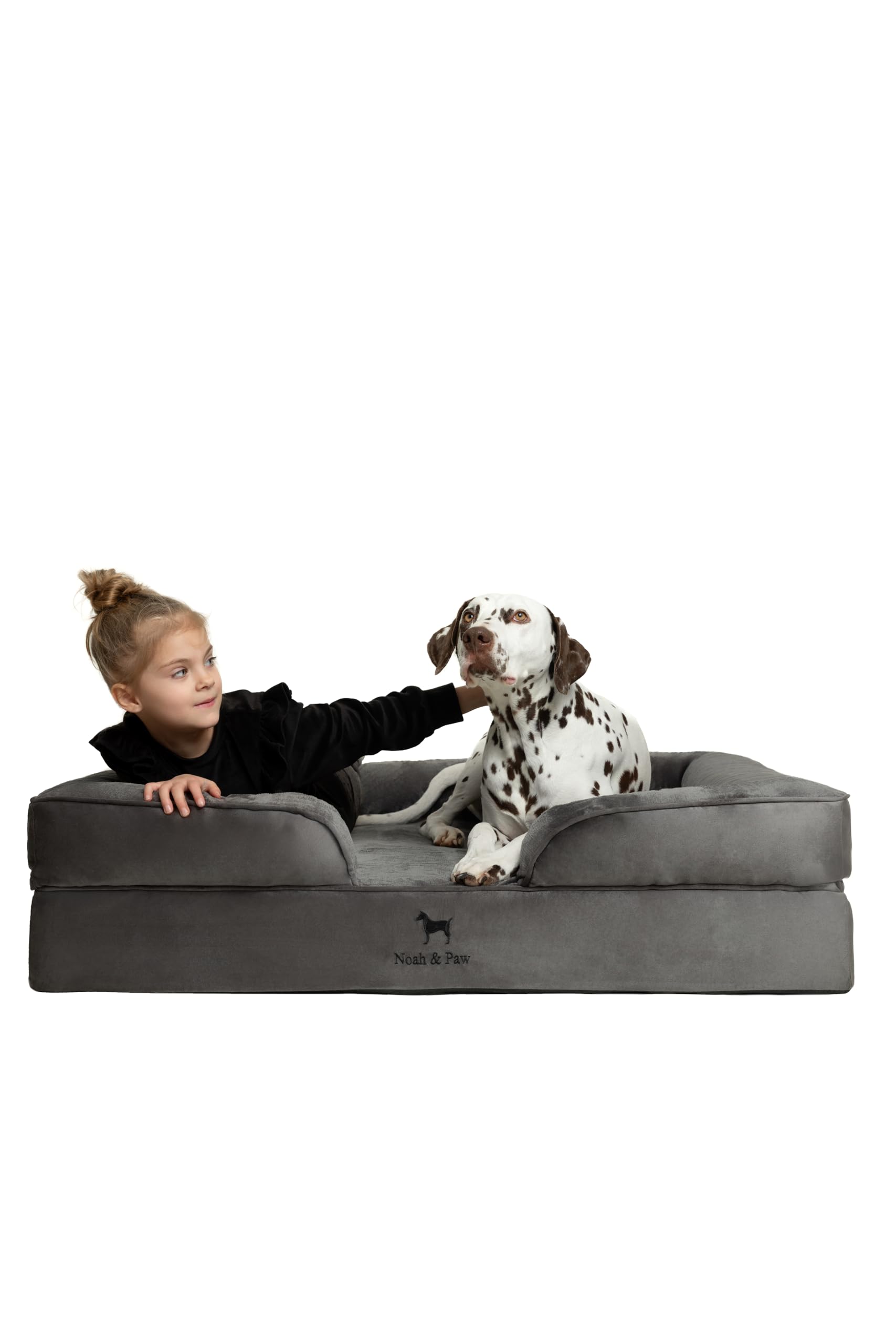 NOAH & PAW XL dog bed front view highlighting orthopedic support for larger breeds.