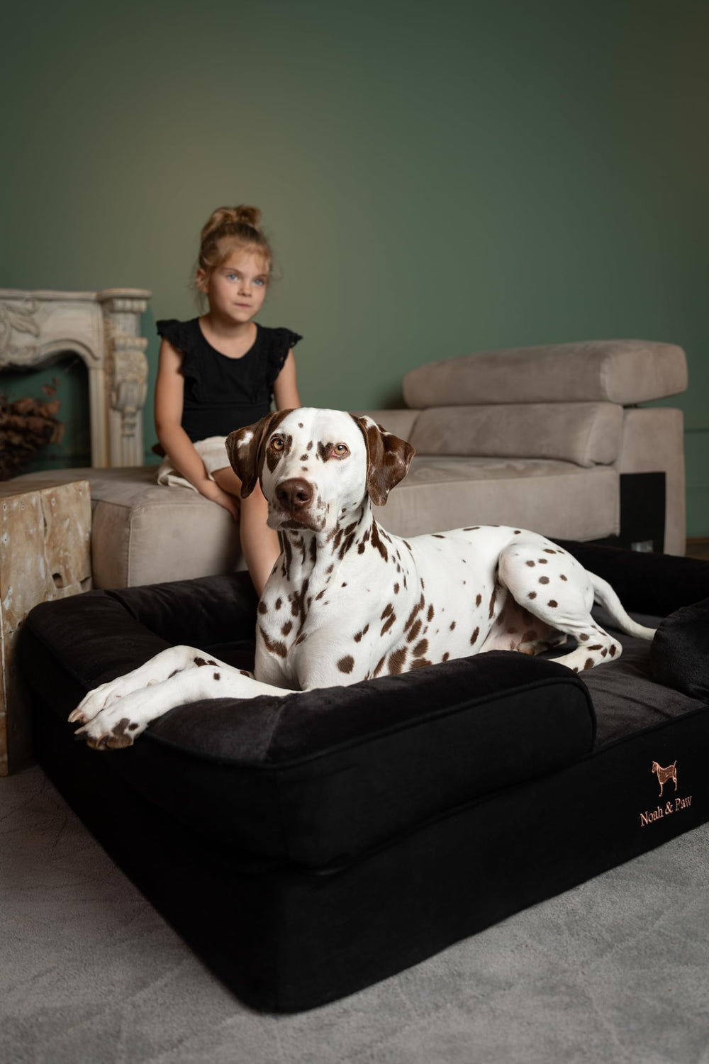NOAH & PAW XL inner cover closeup highlighting washable layers for easy cleaning