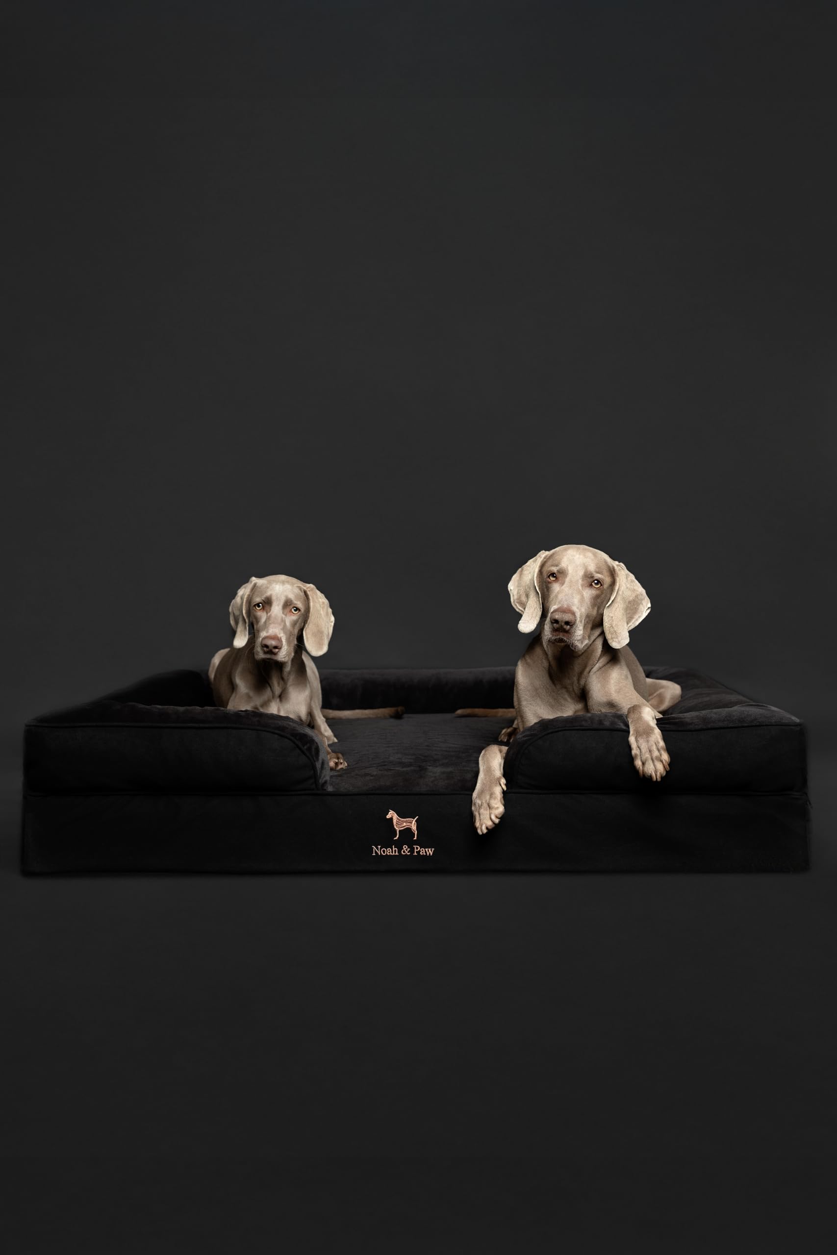NOAH & PAW XL orthopedic support aids comfortable rest for older dogs