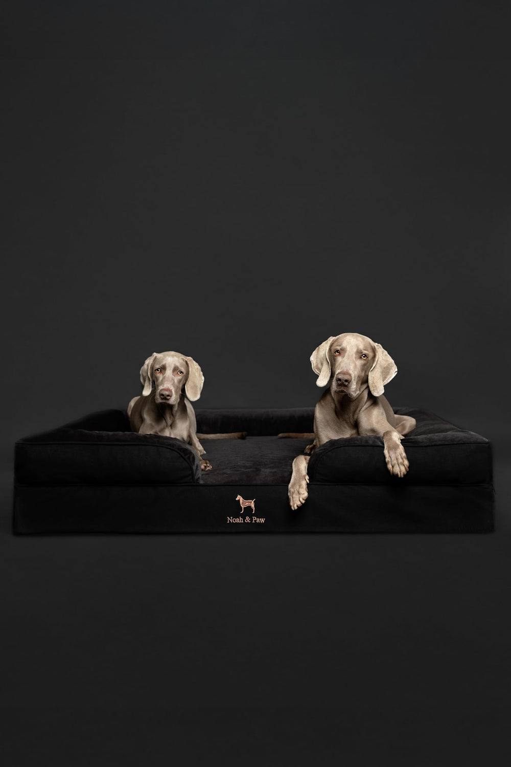 NOAH & PAW XL orthopedic support aids comfortable rest for older dogs