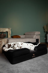 NOAH & PAW XL outer cover removable for quick machine washing and maintenance