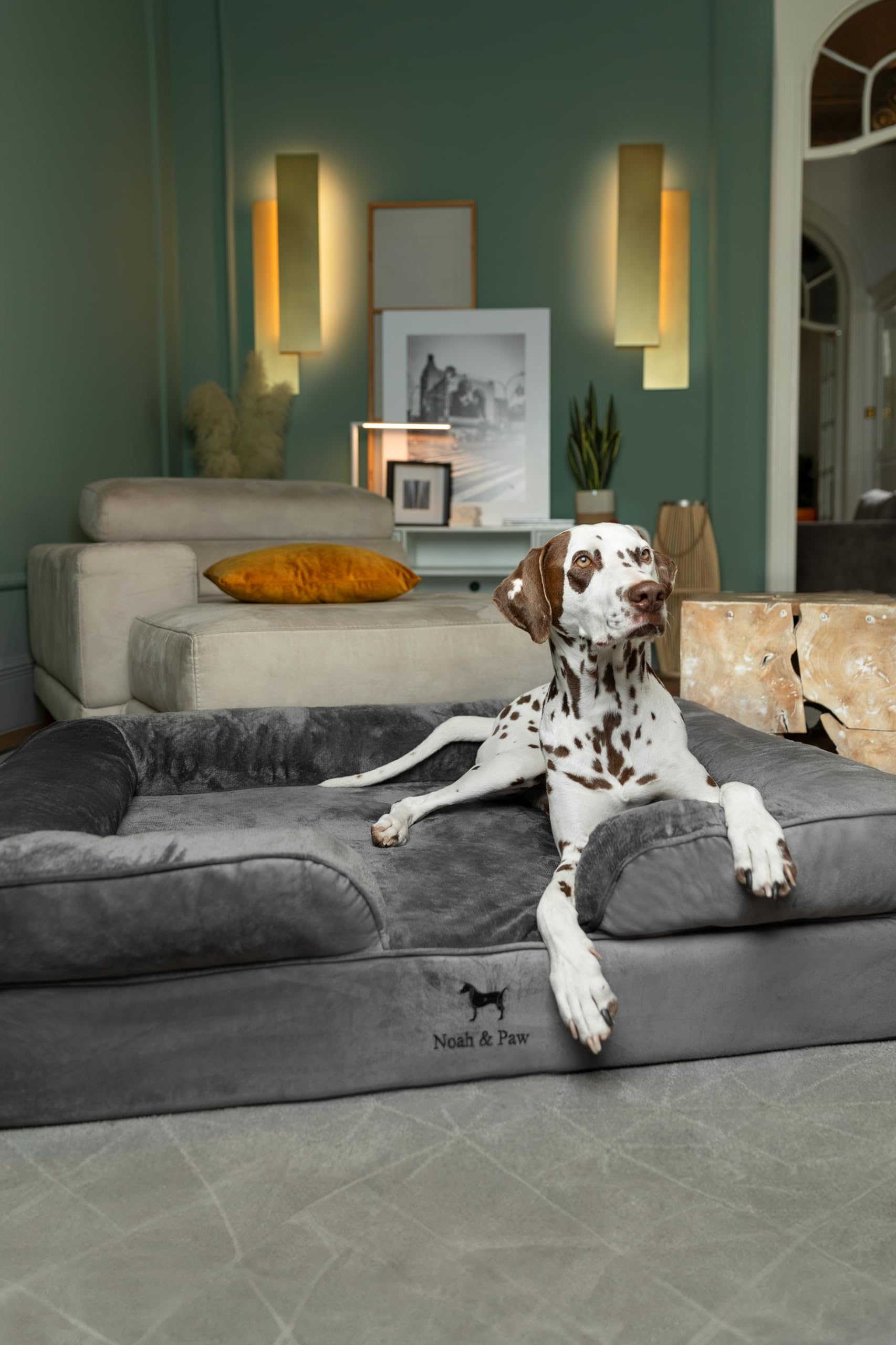 NOAH & PAW XL dog bed side view showing raised bolster for comfort and containment.