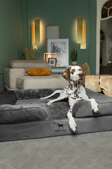 NOAH & PAW XL dog bed side view showing raised bolster for comfort and containment.