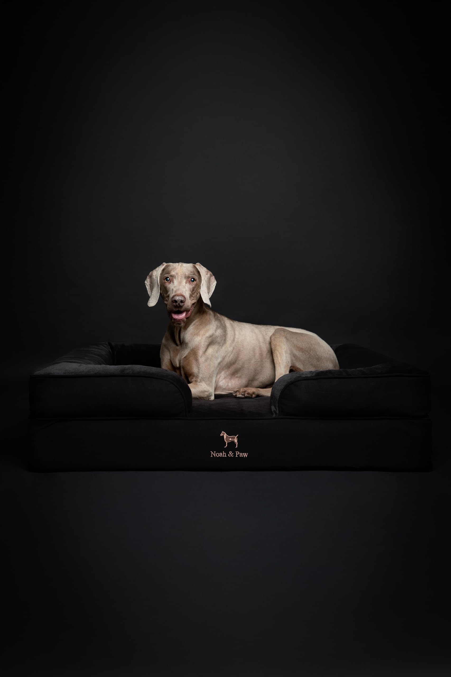 NOAH & PAW XL waterproof fabric protects against accidents and spills