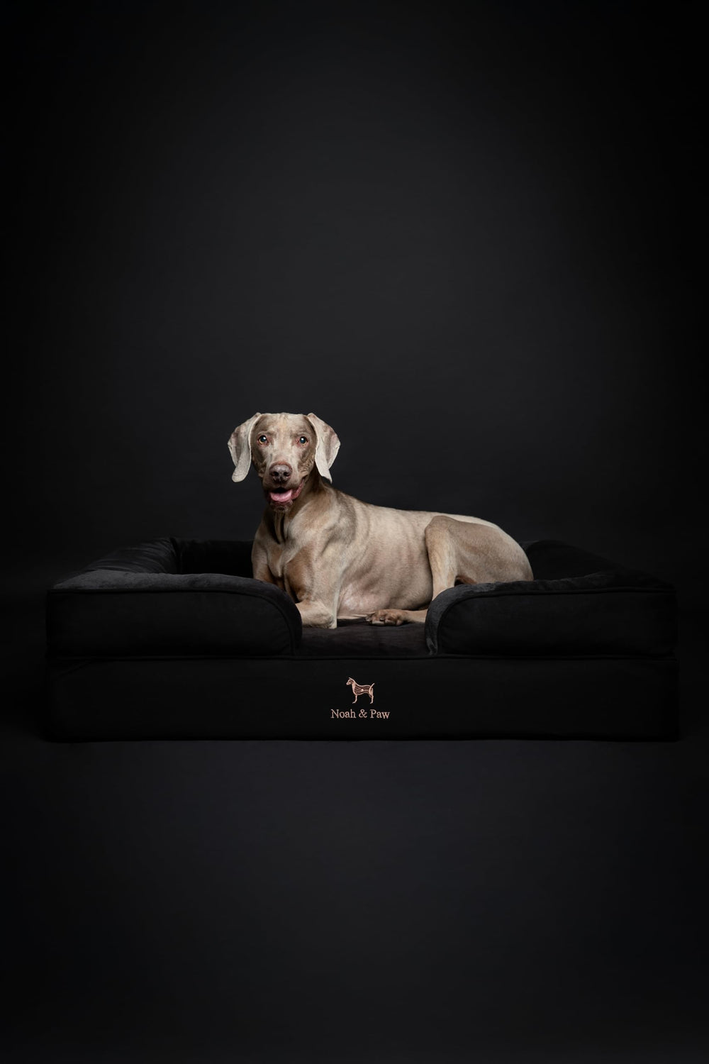 NOAH & PAW XL waterproof fabric protects against accidents and spills