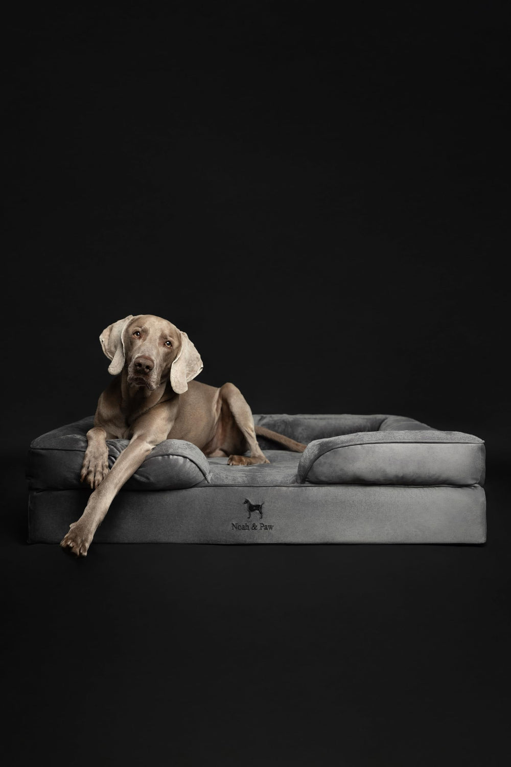 NOAH & PAW XL orthopedic memory foam core supports joints and stability.